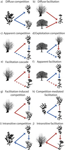 Figure 3. Indirect effects among plants. Diffuse interactions (a-b), interaction chains and higher-order interactions (c-h), intransitive interactions (i-j).