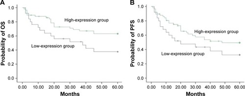 Figure 5 Correlation of HDAC6 expression with patients’ survival receiving CHOP regimen.