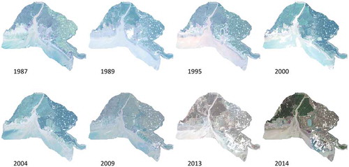 Figure 4. True color remote sensing images of the study area captured in 1987, 1989, 1995, 2000, 2004, 2009, 2013, and 2014.