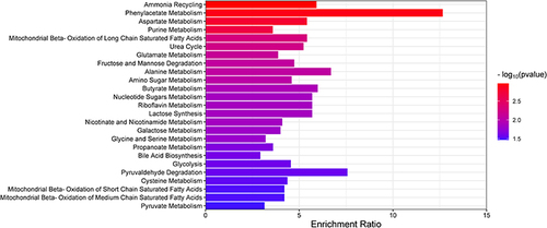 Figure 3 The top 25 metabolic pathways of reversed metabolites in the hippocampus. The red and blue bars reflect the p value. The redder the color, the smaller the p value. The length of the bar represents the enrichment ratio.