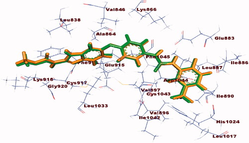 Figure 9. Alignment of the co-crystallised pose (green) and the redocked pose (Orange) of the same ligand inside the protein.