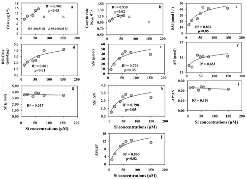 Fig. 4. (a) The concentrations of Chl a, (b) Chl a based growth rate (µChl a d–1), (c) the concentrations of BSi, (d) the ratios of BSi:Chl a, (e) net consumption of silicate (ΔSi), (f) net consumption of nitrate (ΔN), (g) net consumption of phosphate (ΔP), (h) the ratios of ΔSi:ΔN, (i) the ratios of ΔP:ΔN, (j) the ratios of ΔSi:ΔP with increasing Si concentrations under constant P (4 µM) and N (20 µM) concentrations in the variable Si experiment (B)