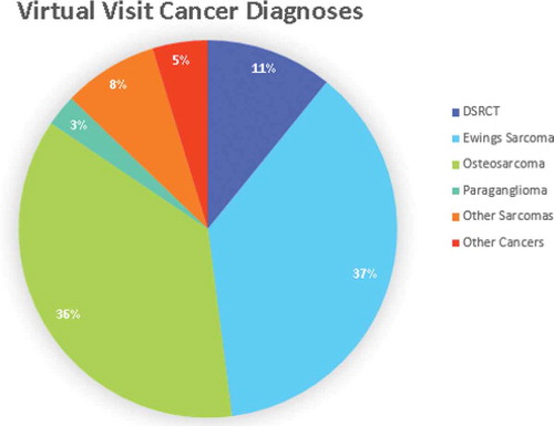 Figure 2. Cancers for which virtual visits were done by Pediatric Institute at Cleveland Clinic. Hematology/Oncology/BMT 2017–2018.