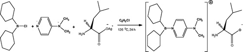 Figure 3 Synthesis reaction of dicyclohexyl borenium dimethyl amino pyridine 2-amino-4-methylpentanoate (Compound 2).