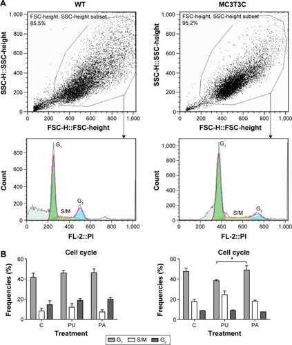 Figure 4 Cell cycle analysis of MC3T3-E1 and WT cells cultured on PU, PA, and uncoated TCPS (control) after 72 hours.Notes: (A) Representative diagrams of osteoblastic MC3T3-E1 and WT cells. (B) Frequencies (%) of MC3T3-E1 and WT cells in G1, S/M, and G2 phases (mean ± SEM, n=6). ANOVA tests and Bonferroni corrections were performed for multiple comparisons. A significance level of 0.05 was used throughout the study. There was no significant difference between tested (PU and PA) and C samples. Significant difference between PU and PA: *P<0.05.Abbreviations: ANOVA, analysis of variance; C, control TCPS; PU, potato unmodified RG-I; PA, potato dearabinanated RG-I; RG-I, rhamnogalacturonan-I; SEM, standard error of the mean; TCPS, tissue culture polystyrene surface; WT, wild-type mice primary osteoblast from calvariae; SSC, side scatter; FSC, forward scatter; FL, fluorescence; PI, propidium iodide.