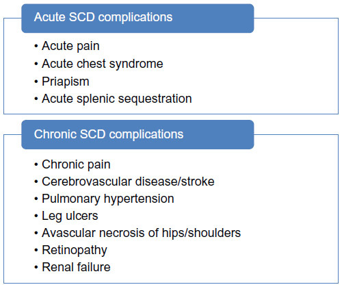Figure 2 Acute and chronic complications of sickle cell disease (SCD).