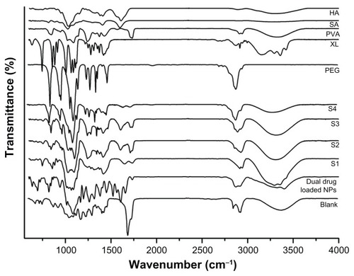 Figure 5 Fourier-transform infrared spectra of polymers used in film formation, drug-loaded nanoparticles, and nanoparticle-incorporated film with various compositions (S1, S2, S3, and S4).Abbreviations: HA, hyaluronic acid; SA, sodium alginate; PVA, polyvinyl alcohol; XL, xylitol; PEG, polyethylene glycol; NPs, nanoparticles.