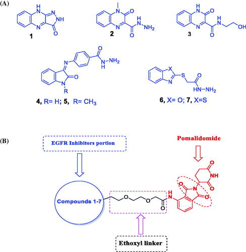 Figure 2. (A) Chemical structures of some reported EGFR-TK inhibitors. (B) Design of EGFR-targeting PROTACs in this work.
