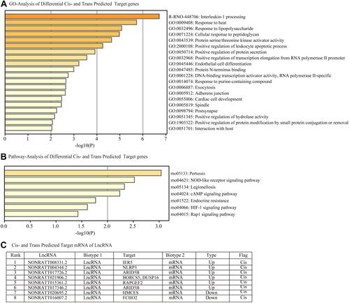 Figure 6 Functional enrichment analysis of differentially expressed predicted cis-and trans-regulated genes of lncRNAs. (A) Cis- and trans- predicted differentially expressed target genes involved in (A) biological processes, cellular components and molecular functions were identified by Gene Ontology (GO) analysis and (B) signaling pathways by Kyoto Encyclopedia of Genes and Genomes (KEGG) pathway analysis. (C) Table C lists the cis-and trans- regulated mRNAs of lncRNAs.