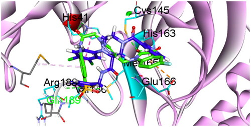 Figure 4. Compound 6b (in green) in 3D style overlaid with GC-14 (in blue).