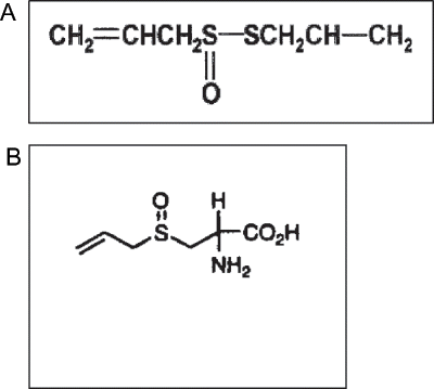 Figure 1 Structure of allicin; B: Structure of alliin.