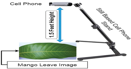 Figure 1. Image Acquisition Setup.