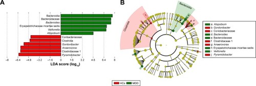 Figure 6 Taxonomic differences in gut microbiota in male subjects.