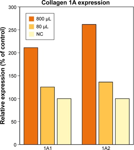 Figure 1 Expression of collagen type I gene with CSE extract supplementation relative to negative control.