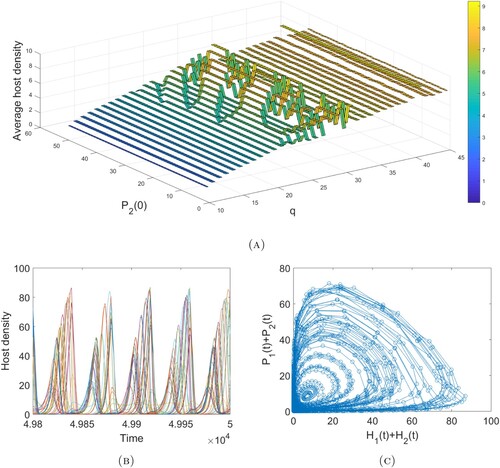 Figure 5. (A) The average host density against P2(0) and q obtained from the last 100,000 values of a 500,000 time unit simulation. These graphs were obtained using τ2=4 and H1(0)=H2(0)=P1(0)=1, with all other parameters given in Example 4.4. (B) The time series solutions when q=40 for initial adult parasitoid density P2(0)=1:1:50. (C) A sample phase plane trajectory when q = 40 and P2(0)=1 consisting of the last 3000 values of a 50,000 time unit simulation.