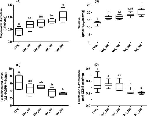 Figure 1. Activity of oxidative stress enzymes in testes: (A) superoxide dismutase (SOD), (B) catalase (CAT), (C) glutathione reductase (GR), and (D) glutathione S-transferase (GST). Results are M ± SD of 8 independent experiments. The values marked with the same letter are not statistically significant between groups as determined by the Tukey’s post hoc test (p > 0.05).