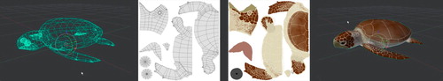 Figure 3. Species modeling and texturing, using the example of the loggerhead sea turtle (Caretta caretta).