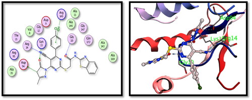 Figure 8. The 2D and 3D interactions for the compound 15 with the binding position of TMPKmt enzyme.