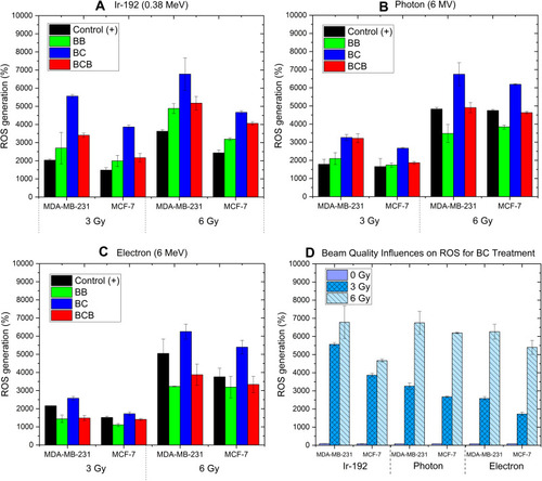 Figure 3 Percentage of ROS generation in the presence of BB, BC, as well as BCB combinations, in comparison to the negative control (before irradiation time) at doses of 3 and 6 Gy on MDA-MB-231 cells and MCF-7 cells under irradiation of (A) HDR brachytherapy Ir-192, (B) photon beam and (C) electron beam. (D) Sum-up of the ROS generation induced in the presence of BC combination for all the radiation beams.