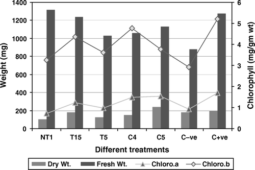 Figure 5.  Influence of different PGPR treatments on fresh weight, dry weight and chlorophyll content of tomato in the presence of 2% NaCl. C−ve: Control plants without added stress and PGPR: C+ve: Control plants with added salinity but without PGPR. Results showed significant difference at 1% level.