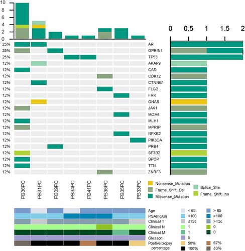 Figure 3 Molecular landscape of 8 patients sequenced by targeted gene panels. The patient named PB41PC was sequenced by Pro241-Panel, and others by 521-Panel.