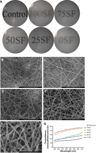 Figure 1 Transmission of light in nanofibrous membranes with different blend ratios.Notes: General transmission of light is shown in (A). Scanning electron microscopy results are shown in (B–F). (B) 100% SF, (C) 75% SF, (D) 50% SF, (E) 25% SF, and (F) 0% SF. Scale bar, 5 μm. Accurate transmission percentage compared with the control group is shown in (G).Abbreviation: P(LLA-CL), poly(l-lactic acid-co-ε-caprolactone); SF, silk fibroin.