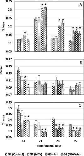 Figure 3. Relative lymphoid organ weights. Values were obtained from organs harvested from birds treated as outlined in Figure 1 legend. (A) Spleen, (B) Bursa, and (C) Thymus. Values shown are means (±SD) of organ weight:body weight ratios (unit-less); N = 3/group. *Value significantly different from control on specific day (p < 0.05).