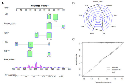 Figure 2 Nomogram to estimate the risk of rNACT. (A) A nomogram for predicting the risk of rNACT showing the proportion (%) of parameters included in the score scale. To use the rNACT nomogram score, it is important to identify the point of each variable on the corresponding axis; the total number of points can then be summated from all variables. (B) Radar plot showing the relative weight of candidate parameters arising from stepwise regression analysis. The largest proportion is accounted for by NLR, PLR, and platelet count. (C) Calibration curves depicting the robust performance of the nomogram in terms of consensus between the predicted risk and actual risk assessment.