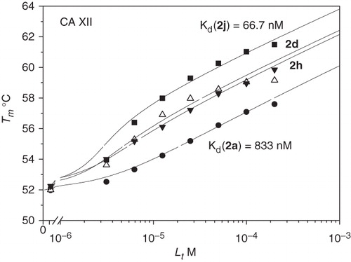 Figure 4. TSA data of 2a, 2d, 2h and 2j binding to CA XII.