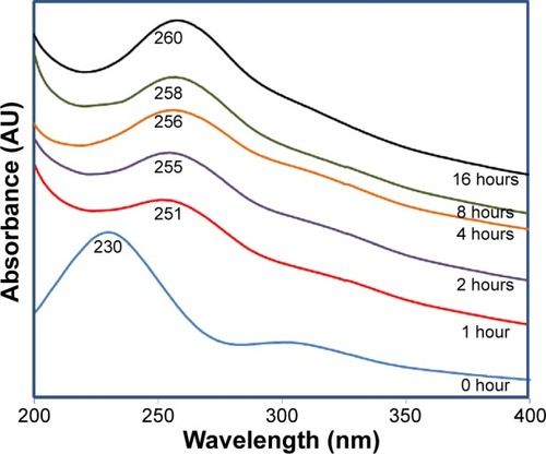 Figure 1 Ultraviolet–visible spectra of graphene oxide reduction with Ganoderma lucidum extract at different time intervals.