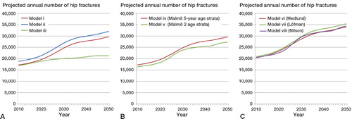 Figure 2. Projected numbers of hip fractures in Sweden for the period 2010–2050 based on: A. Nationwide Swedish hip fracture rates for the year 2002 in one-year age strata (≥ 50 years) (model i), average rates for the period 1987–2002 in one-year age strata (≥ 50 years) (model ii), and the rate for 2002 in only one stratum (≥ 50 years) (model iii). B. Local average rates for Malmö, Sweden, for the period 2002–2012 in 5-year age strata (≥ 50 years) (model iv) and in 2 age strata (65–79 years and ≥ 80 years) (model v). C. Previously published Swedish hip fracture rates for the period 1972–1981 presented in 5-year age strata (≥ 50 years) (model vi) (Hedlund et al. Citation1987), for the period 1982–1996 presented in 5-year age strata (≥ 50 years) (model vii) (Lofman et al. Citation2002), and for 2009 presented in 2 age strata (65–79 years and ≥ 80 years) (Nilson et al. Citation2013).