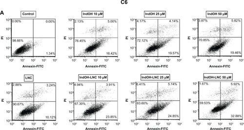 Figure 2 IndOH and IndOH-LNC induce apoptosis in glioma cells. Flow cytometry experiments to quantify apoptotic and/or necrotic cells in (A) C6 and (B) U138-MG glioma cells treated with IndOH or IndOH-LNC (10, 25, or 50 μM) for 24 hours. Unloaded LNC were considered the vehicle control of IndOH-LNC. Values are expressed as the percentage of early apoptotic cells (%) (annexin V positive/PI negative) in (C) C6 and (D) U138-MG glioma cells treated with IndOH or IndOH-LNC.Notes: Bars represent the mean ± standard deviation for three independent experiments. significant differences from control and LNC groups and between the respective concentrations of IndOH group: *P < 0.05, and ***P < 0.001, as assessed by two-way analysis of variance followed by the Bonferroni post hoc test.Abbreviations: FITC, fluorescein isothiocyanate; IndOH, indomethacin; IndOH-LNC, indomethacin-loaded lipid-core nanocapsules; LNC, lipid-core nanocapsules; PI, propidium iodide.