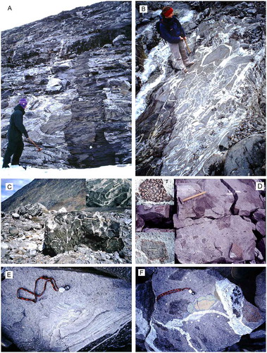 Figure 4. Vássačorru igneous complex. A. Typical net-veined outcrop, cut by late dyke. At Mårma glacier (c. N68.076431°/E18.711872°). B. Mingled mafic rocks and Vistas Granite (N68.078309°/ E18.541993°). The two boulders with mafic enclaves shown in Figure C occur downstream this outcrop. C. The inset figure in the upper right corner is a close-up of folded pillows in the boulder in the background. D. Mafic magmatic fragments in an inhomogeneous hybrid rock formed by mixing of dolerite and granite (N68.068772°/ E18.935717°; same locality for Figures E–F). Varying darkness of fragments reflects different stages of hybridization. The fragment below the hammer is partly angular suggesting some consolidation; note dark, rounded enclave inside the fragment. Above hammer, a xenolith of metasedimentary rock. Inset figures show fragments charged with (upper corner) or rimmed by (lower corner) porphyroblasts of garnet. E. Xenolith of psammitic rock in hybridic granitic rock. F. Xenolith of calc-cilicate rock cut by granitic veins with pegmatitic core. Mafic fragments are rimmed by, or invaded by (right), garnets. Sparse xenocrysts of feldspar.