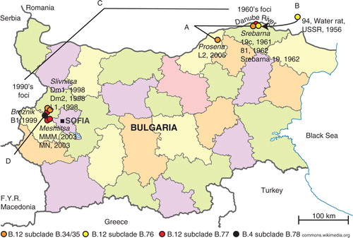 Fig. 1 The old and new tularemia foci in Bulgaria. A. The genetic distance between strains L2 and 81 (orange dots) comprised five SNPs in 33 years. B. The genetic distance between strain 94 from USSR and strain 19c from Srebarna (yellow dots) comprised two SNPs in 5 years. C. There was an accumulation of >20 SNPs between the Srebarna 19 from the old focus and L1, MN, and MMM in the new focus (red dots). D. The first Bulgarian genome in the B.4 basal clade was represented by strain B1 isolated in Breznik in 1999 (black dot).