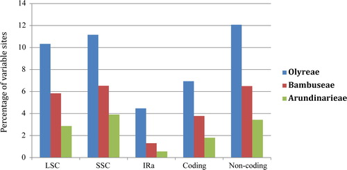 Figure 4. Sequence variations of partitioned chloroplast genome regions among Arundinarieae, Bambuseae and Olyreae in comparison with Oryza sativa. IRs is represented by IRa.