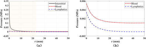 Figure 3. Radial distribution of fluid pressures in all compartments along the injection point at the end of injection (t = 5 s). All the fluid pressures are shown in (a), while only the pressures in blood vessels and lymphatic vessels are shown in the zoomed-in figure (b). The shaded region in (a) denotes the area where the pressure in interstitial tissue is highest among all compartments.