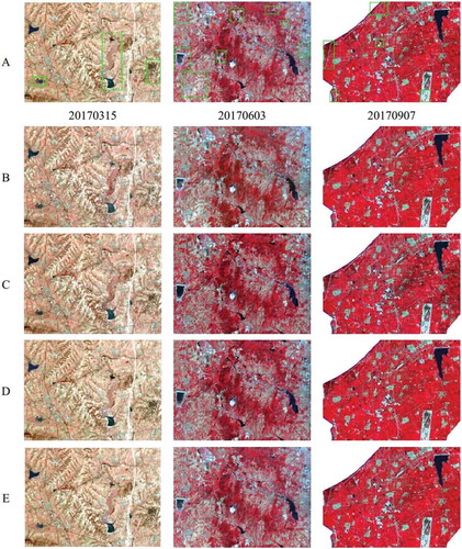 Figure 7. Sub results of missing data reconstruction in the comparative experiments. Panel A list the actual cloud-free Landsat images (in the NIR-red-green band composition) acquired on March 15, June 3, and September 7, in 2017, in which green boxes indicate comparison regions with obviously different reconstructions. Panel B-E list the corresponding reconstruction results using the STWR-based, STP-based, PCAE-based, and the proposed SPTF-based methods, respectively