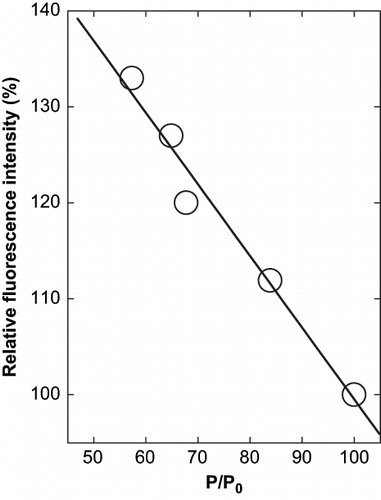 Figure 4 Relation between the precipitation of α-globulin and the change in fluorescence intensity at emission maxima of α-globulin in presence of glycerol at pH 4.0 (0.02 M sodium acetate buffer). The values are plotted from the data of Figs. 2 and 3.