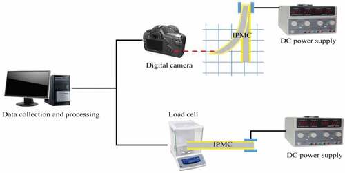 Figure 2. Schematic diagram of the testing platform of displacement and force of IPMCs.