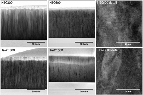 Figure 5. TEM images of NEC and TaWC films deposited at 300°C and 600°C [Citation46].