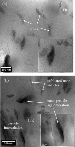 Figure 2. TEM images of IFR and nanocomposites: (a) KeC-IFR; (b) KeC-IFR+MMT.