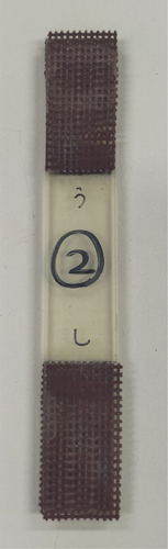 Figure 1. Specimen used for the fatigue test.