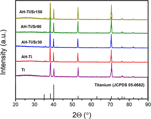 Figure 2 XRD patterns of different samples.