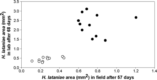 Fig. 1  The relationship between mean H. lataniae cap size in the laboratory after 68 days and in the field after 57 days. Kendall τ = 0.576; P < 0.001; df = 21. The data fall into two equal sized groups, with a putative resistant group (open circles) showing little growth compared with the putative susceptible group (solid circles)