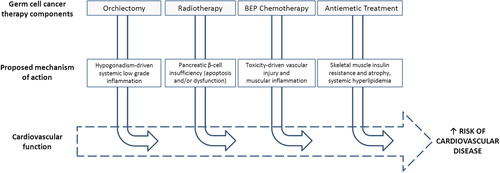 Figure 1. The ‘multiple-hit hypothesis’ applied to the germ cell cancer setting – adapted from Jones et al. 2007, J Am Coll Cardiol [Citation31]. As patients move along the trajectory of germ cell cancer treatment they will be subjected to one or several of the treatment components associated with various toxicities. Individually, and synergistically, these toxicities can significantly impair cardiovascular function, which leaves the patient more susceptible to cardiovascular injuries, and ultimately higher risk of premature cardiovascular morbidities and mortality. BEP; bleomycin-etoposide-cisplatin.