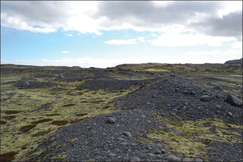 Figure 7. Field photograph showing the characteristic ‘sawtooth’ planform of recessional push moraines on the Skálafellsjökull foreland (22 May 2014).