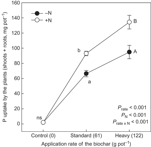 Figure 3 Phosphorus (P) uptake by the plants (shoots + roots) grown at different application rates of the biochar derived from dead cattle. Application rate as P from the biochar to control, standard and heavy treatments was 0.0, 6.6 and 13.2 g pot−1, respectively. Nitrogen (N) application rate was 0.5 g pot−1. Different letters within the same application rate of the biochar show significant difference between the N application treatments (without N, –N and with N, +N) by Tukey test (P < 0.05). ns, no significant difference. Error bars represent standard deviation (n = 3).