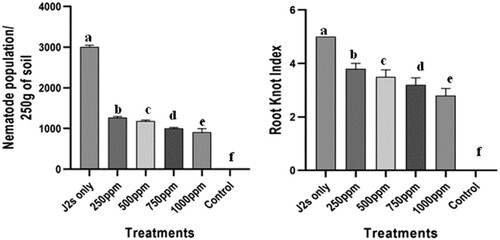 Figure 6. Nematicidal effect of different concentrations (250, 500, 750 and 1000 ppm) of leaf extract of I. carnea on the pathological attributes of J2s inoculated carrot plants under pot condition. Each bar followed by the same letter is not significantly different according to Duncan’s multiple-range test (p ≤ 0.05). (J2s only – second stage juveniles only; ppm – parts per million).