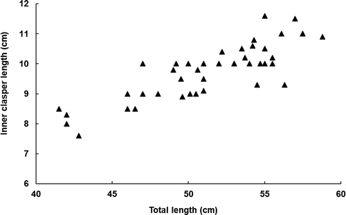 FIGURE 2. Relationship between TL (cm) and inner clasper length (cm) of male Giant Electric Rays.