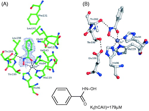 Figure 4. (A) Active site region in the hCA II – 16 complex. (B) Zn2+ coordination geometry of N-(hydroxy)-benzamide 16Citation20.